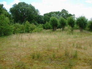 Lackford Lakes
